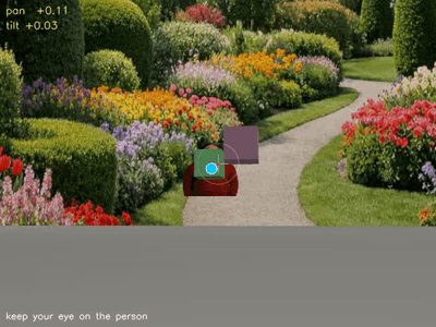 Camera following a face that randomly teleports every few seconds