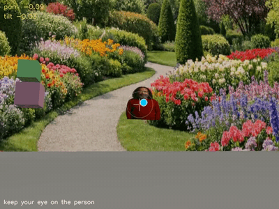 Camera following a face slowly moving in a simulated environment